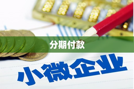 嵩县分期付款
