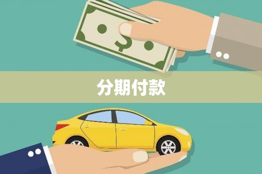 嵩县分期付款
