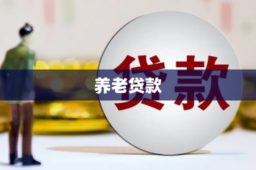嵩县养老贷款