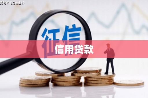 嵩县信用贷款