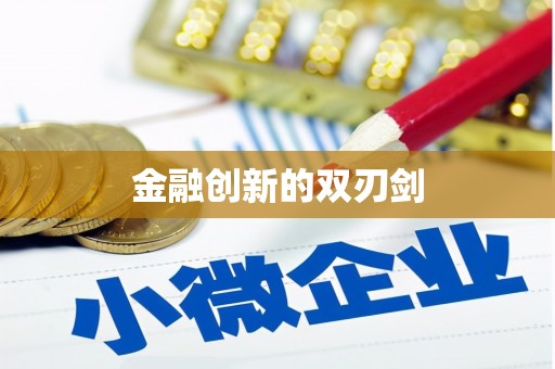 嵩县金融创新的双刃剑