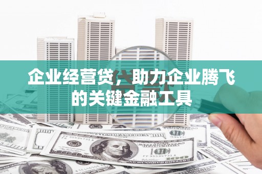嵩县企业经营贷，助力企业腾飞的关键金融工具
