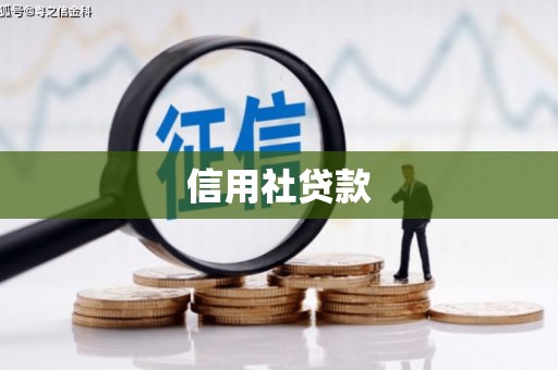 嵩县信用社贷款