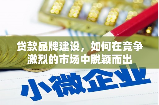 嵩县贷款品牌建设，如何在竞争激烈的市场中脱颖而出