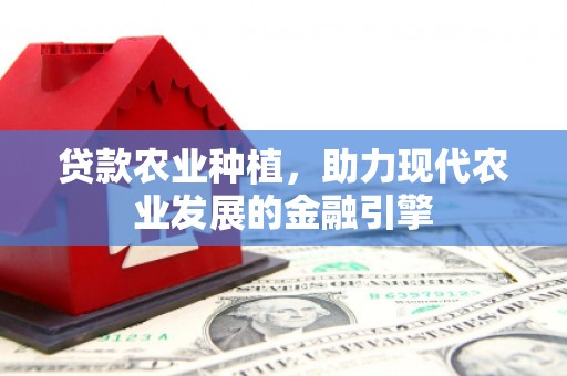 嵩县贷款农业种植，助力现代农业发展的金融引擎