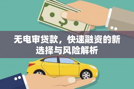 嵩县无电审贷款，快速融资的新选择与风险解析