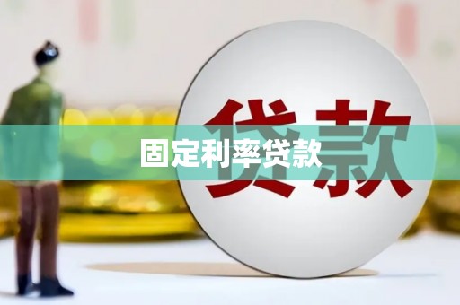 嵩县固定利率贷款