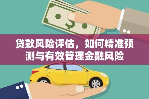 嵩县贷款风险评估，如何精准预测与有效管理金融风险
