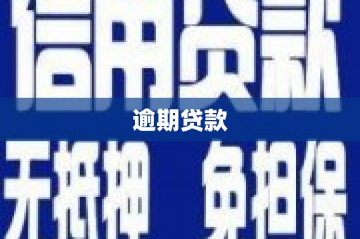 嵩县逾期贷款