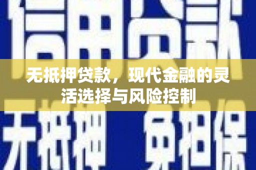嵩县无抵押贷款，现代金融的灵活选择与风险控制