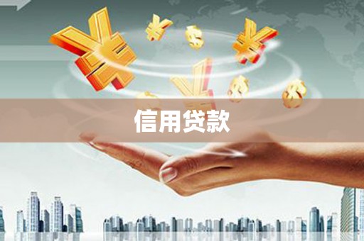 嵩县信用贷款