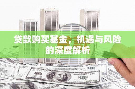 嵩县贷款购买基金，机遇与风险的深度解析