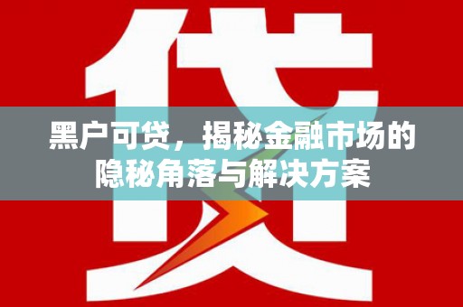嵩县黑户可贷，揭秘金融市场的隐秘角落与解决方案