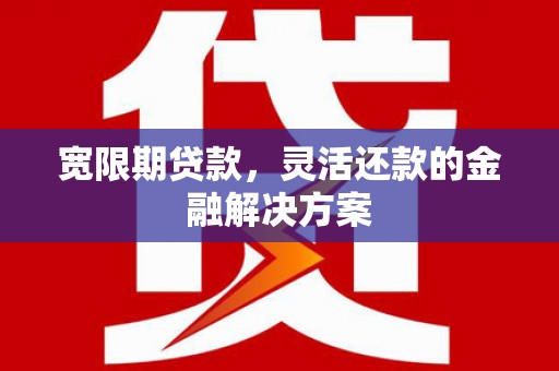 嵩县宽限期贷款，灵活还款的金融解决方案