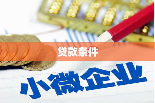 嵩县贷款条件