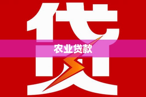 嵩县农业贷款