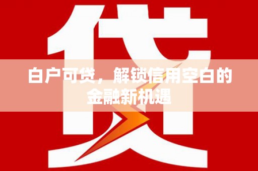 嵩县白户可贷，解锁信用空白的金融新机遇