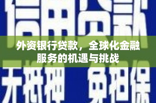 嵩县外资银行贷款，全球化金融服务的机遇与挑战