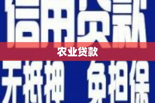 嵩县农业贷款