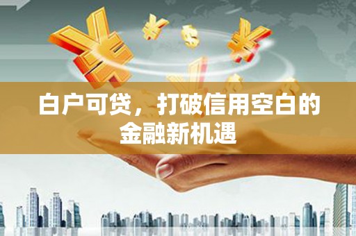 嵩县白户可贷，打破信用空白的金融新机遇