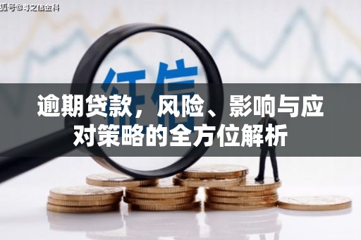嵩县逾期贷款，风险、影响与应对策略的全方位解析