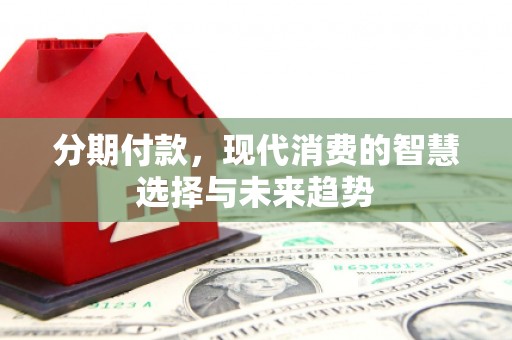 嵩县分期付款，现代消费的智慧选择与未来趋势
