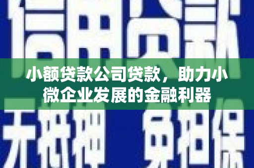 嵩县小额贷款公司贷款，助力小微企业发展的金融利器