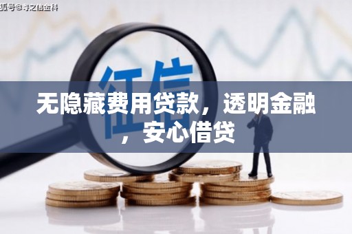 嵩县无隐藏费用贷款，透明金融，安心借贷