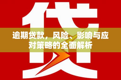 嵩县逾期贷款，风险、影响与应对策略的全面解析
