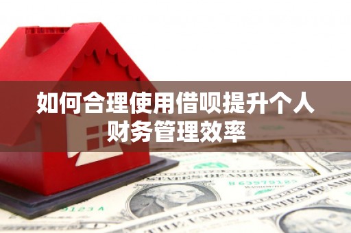 嵩县如何合理使用借呗提升个人财务管理效率