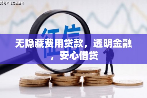 嵩县无隐藏费用贷款，透明金融，安心借贷