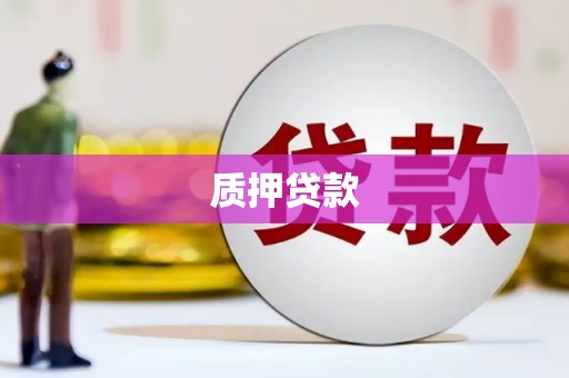 嵩县质押贷款