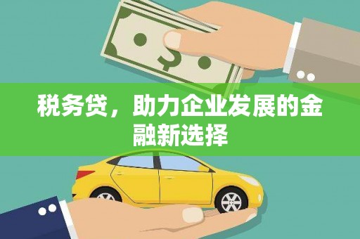 嵩县税务贷，助力企业发展的金融新选择