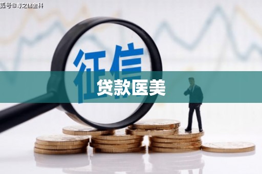 嵩县贷款医美