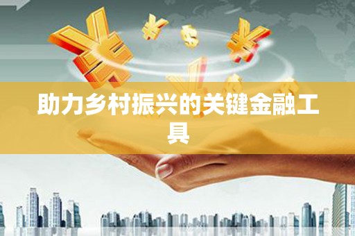 嵩县助力乡村振兴的关键金融工具
