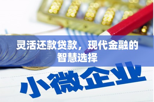 嵩县灵活还款贷款，现代金融的智慧选择