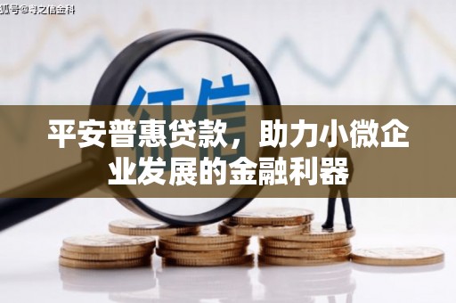 嵩县平安普惠贷款，助力小微企业发展的金融利器