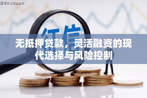嵩县无抵押贷款，灵活融资的现代选择与风险控制