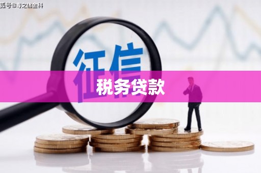 嵩县税务贷款