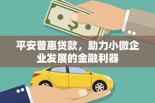 嵩县平安普惠贷款，助力小微企业发展的金融利器