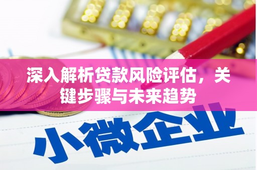 嵩县深入解析贷款风险评估，关键步骤与未来趋势