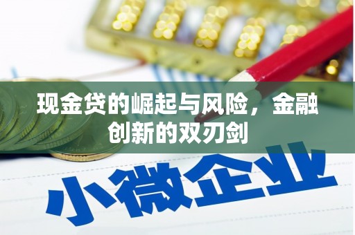 嵩县现金贷的崛起与风险，金融创新的双刃剑