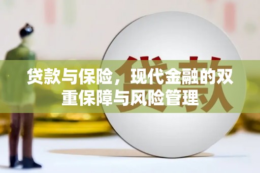 嵩县贷款与保险，现代金融的双重保障与风险管理