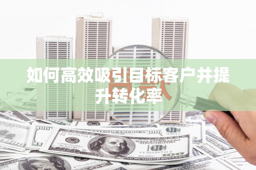 嵩县如何高效吸引目标客户并提升转化率