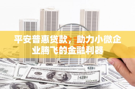 嵩县平安普惠贷款，助力小微企业腾飞的金融利器