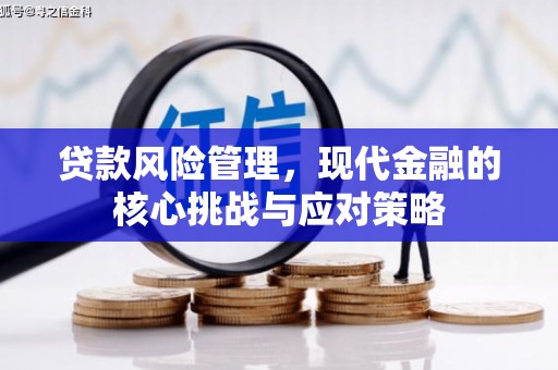 嵩县贷款风险管理，现代金融的核心挑战与应对策略