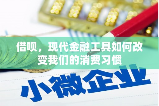 嵩县借呗，现代金融工具如何改变我们的消费习惯