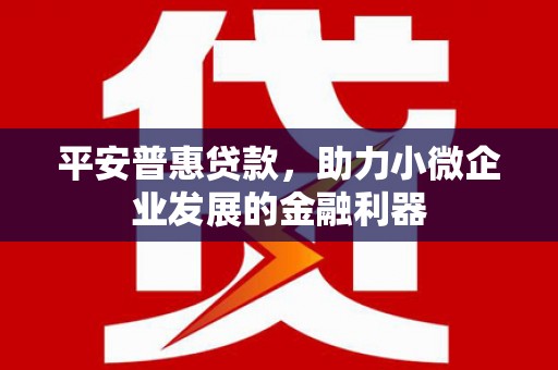 嵩县平安普惠贷款，助力小微企业发展的金融利器