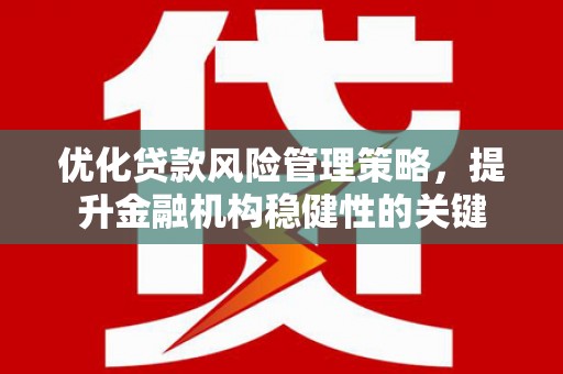 嵩县优化贷款风险管理策略，提升金融机构稳健性的关键