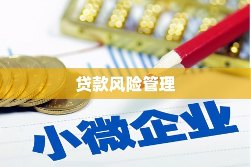 嵩县贷款风险管理